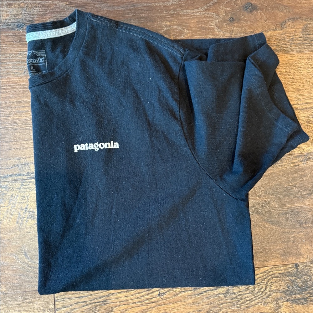 Mens Patagonia t-shirt